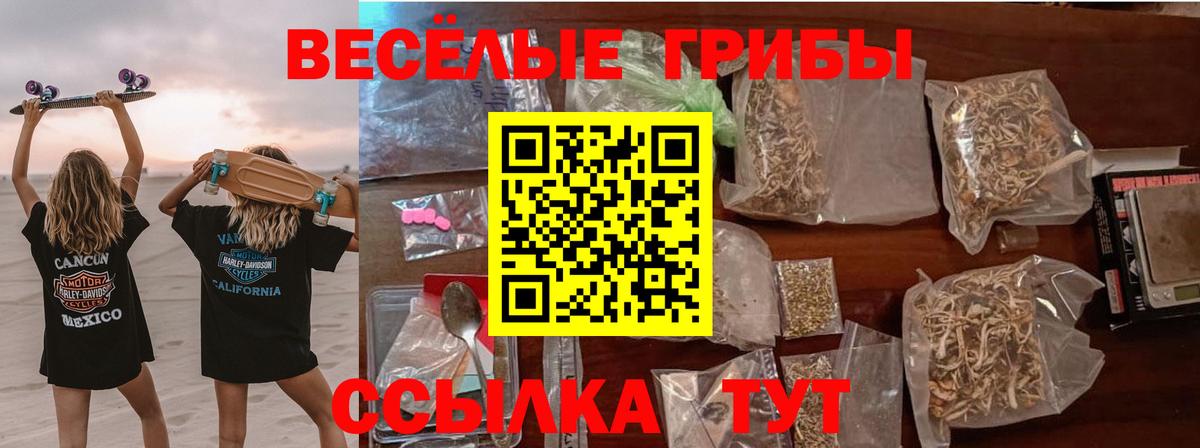 закладка  Вход с VPN  Кизляр  Псилоцибиновые грибы GOLDEN TEACHER 